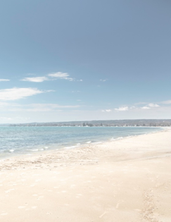 A sandy beach next to the oceanDescription automatically generated